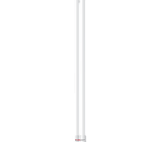 4 Pin LTT CFL