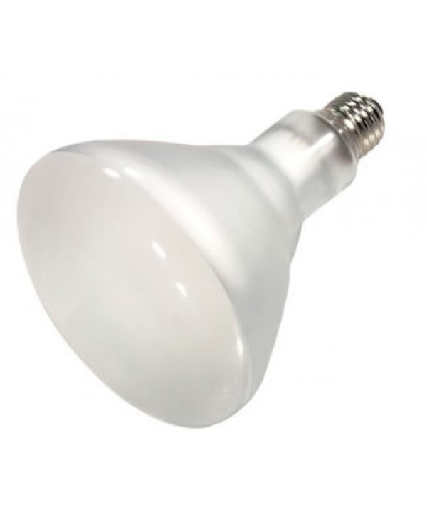 75BR40/FL/120V GLOBE