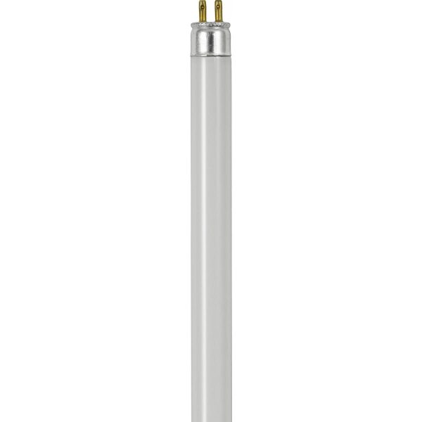 T4-8W41 LITELINE