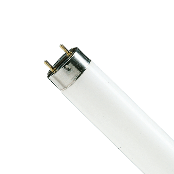 L58/865 OSRAM