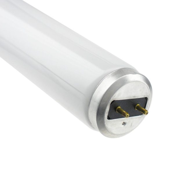 F34/D835/RS/SS/ECO OSI