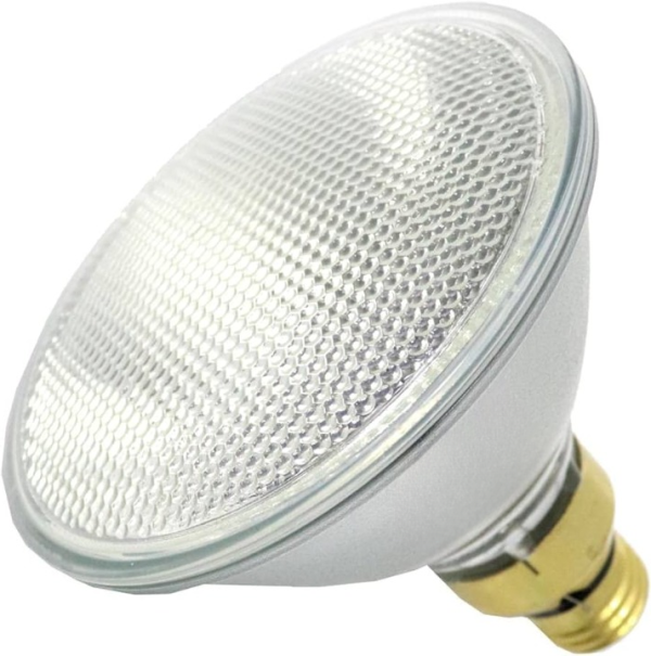 H90PAR38/FL/MS/2.5M/120V STANDARD
