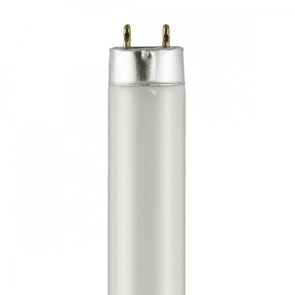 F15T8 D35 SYLVANIA
